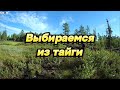 Выбираемся с тайги. Вездеход (каракат) ЗВЕРЬ в деле. Трофеи в конце видео.