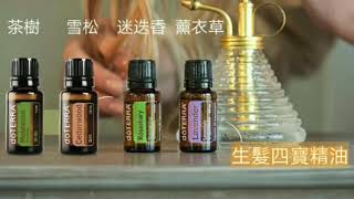 多特瑞(doTERRA) 生髮四寶 