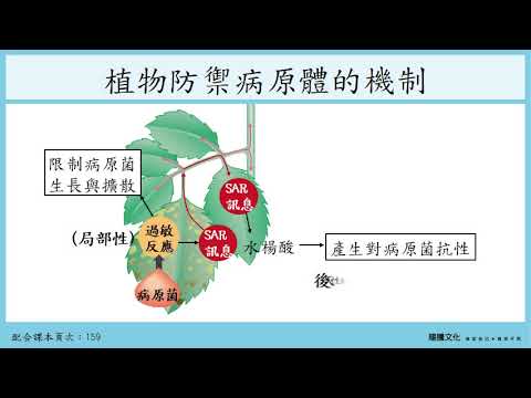 108選生二 4-4植物對環境刺激的反應_4植物的防禦