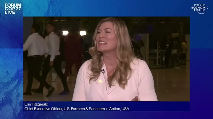 Erin Fitzgerald - We need financial innovation to ...