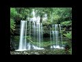 إذا المرء لم يرضى بما ربه وهب فلن يغنه مال وإن زاد ما كسب إذا المرء لم يرضى بما ربه وهب فلن يغنه مال وإن زاد ما كسب