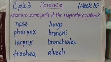 CC Cycle 3 Week 10 Science