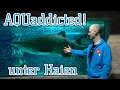 Zu Besuch im größten Aquarium Mitteldeutschlands | Meeresaquarium Zella-Mehlis | Teil 1/2