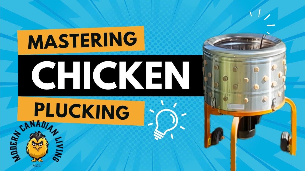 Game-Changer for Poultry Processing: 1HP Chicken Plucker Review (40 Birds Done!)