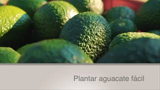 TITULARES AGRONOTICIAS sie7e PROGRAMA 255