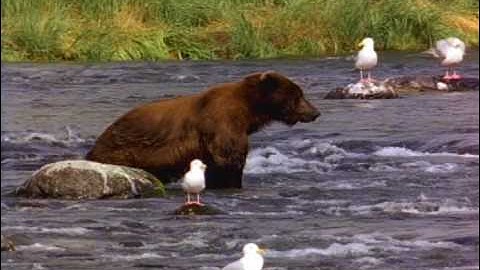 Tzolkin Sound Project