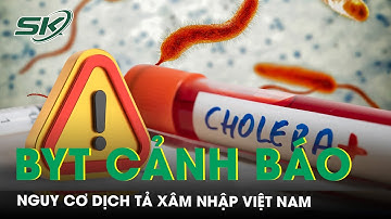 Bộ Y tế cảnh báo nguy cơ dịch tả xâm nhập Việt Nam | SKĐS