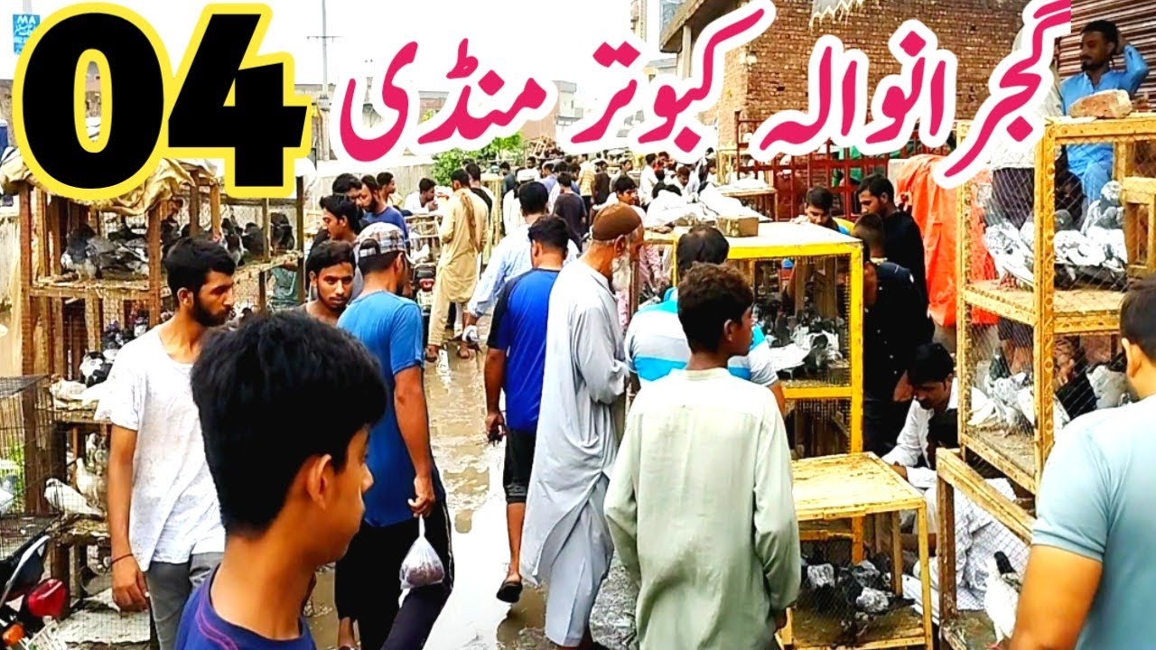 04) Gujranwala Kabootar mandi گجرانوالہ کبوتر منڈی Gujranwala Birds