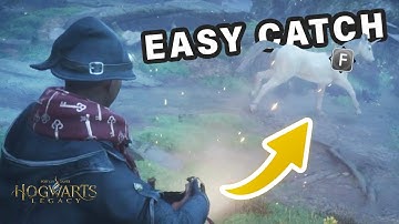 How to EASILY Catch Any Beast | Like Unicorns ► Hogwarts Legacy