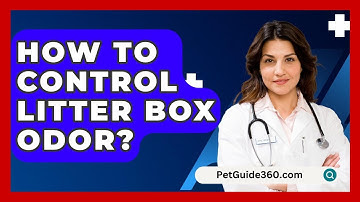 How To Control Litter Box Odor? - PetGuide360.com