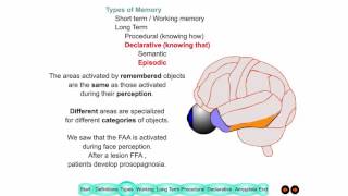 Lecture 12 Memory Wealth