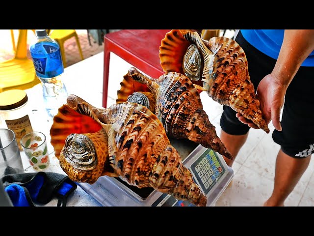 Vietnamese Food - GIANT ALIEN CONCH Cooked Two Ways Mui Ne Seafood Vietnam