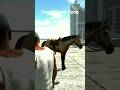 What is the Cheat Code Of Horse Indian bike driving 3d