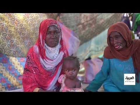 مأساة نازحي الفاشر: جوع وعنف في السودان