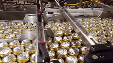 Simplimatic® Stainless Steel Beverage Conveyor
