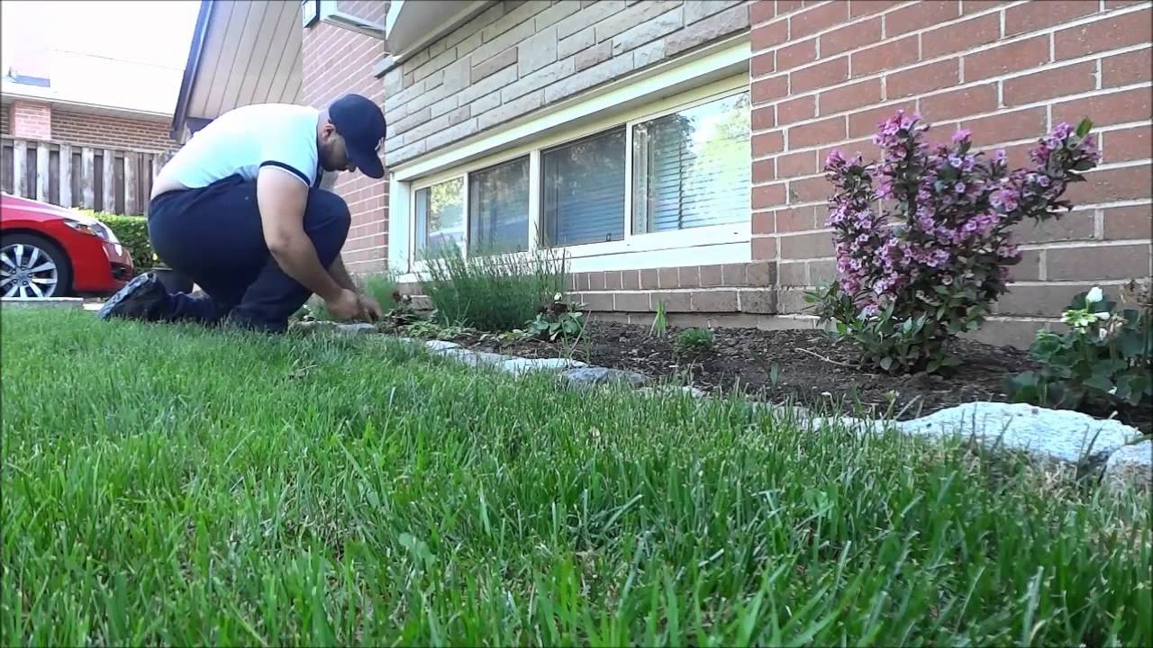 how-to-maintain-a-flower-bed-without-any-tools-by-removing-the-weeds