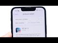 iOS 18.7.3 More Issues