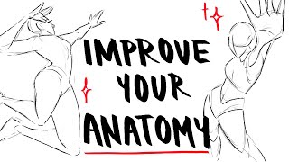 ANATOMY EXERCISES FOR BEGINNERS | How I practice drawing anatomy