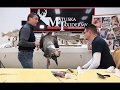 Learn Taxidermy: Mounting a Mule Deer Part 1