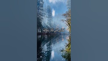 #القارئ احمد العجمي #المصحف #اكسبلور #اذكرالله #لايك #راحة_نفسية #حالات_واتس #تيك_توك #دويتو