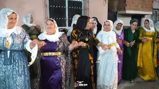 Roni̇da-Müzi̇k Si̇i̇rt Pervari̇ Eşi̇ra Serxani̇sya Ali̇ Düğün 2025 Part1