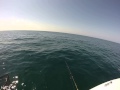 Fishing off Clearwater