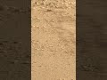 Laser vs zoom lens. Same sol. Same Mars. Completely different secrets. Sol 1,822 💀😳🪐