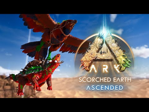 Lets Get the Best ARK Combo Special