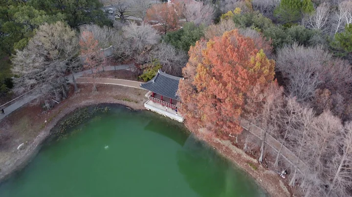 Denman Estate Park 4k