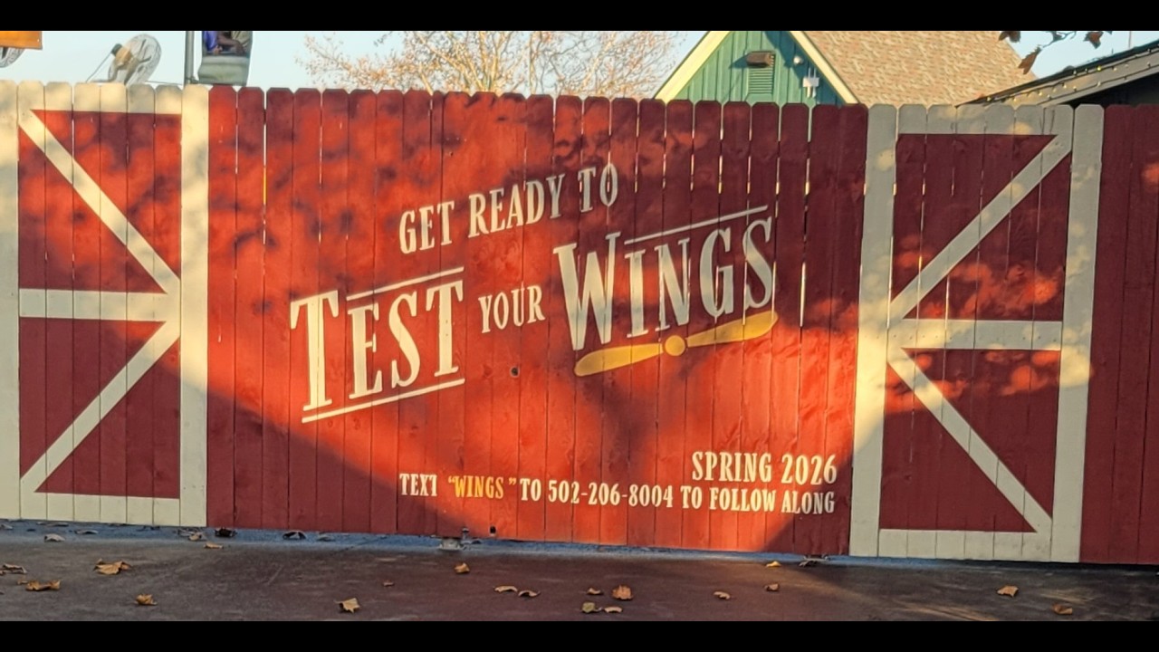 Flying Fox construction 2/16/26