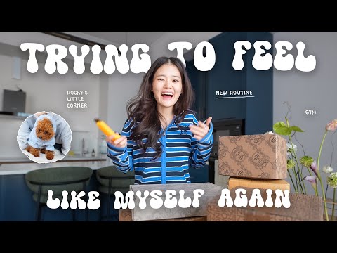 getting my life back together after moving countries