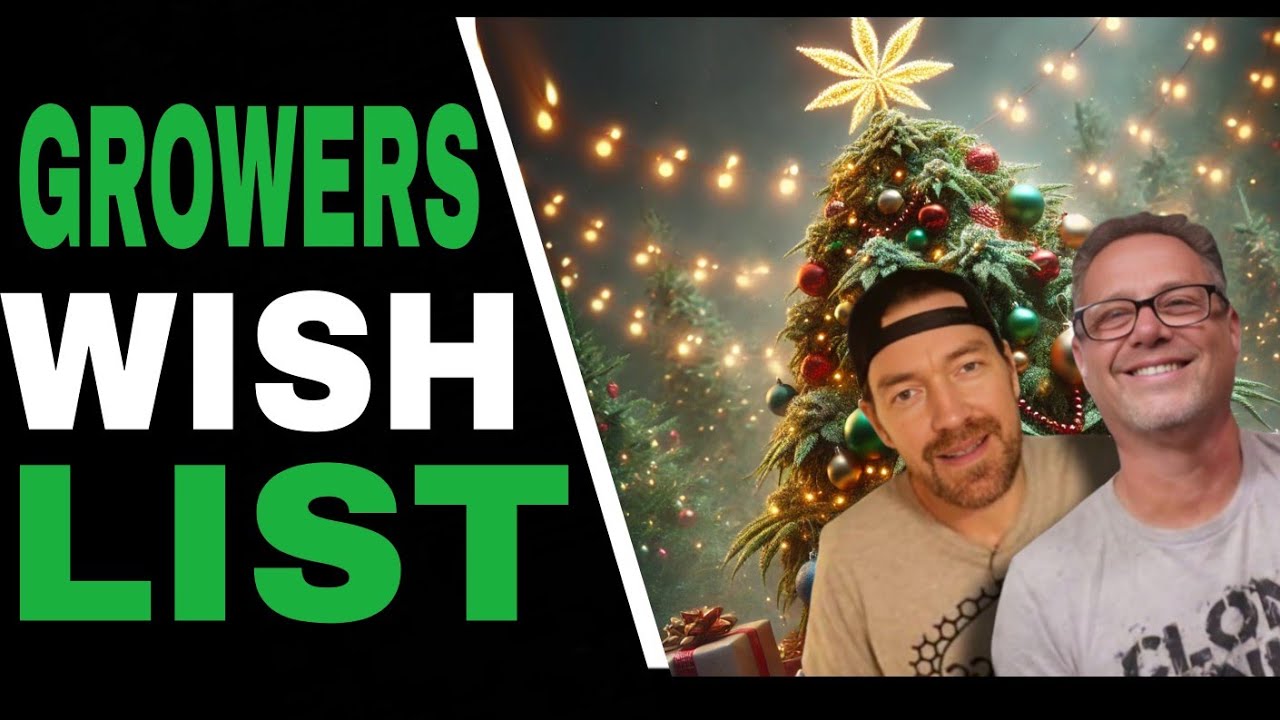 Cannabis Growers’ Christmas Wish List Gear, Gadgets, and Genetics
