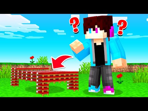 BED Gemaakt Van MINI BEDDEN! (Minecraft)