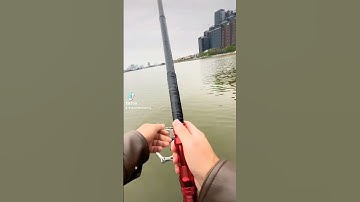 Thanh niên nhập môn 2 buổi đòi mua cần 😅😅 #duchienfishing #fishing #caucathugian #fish #cauca