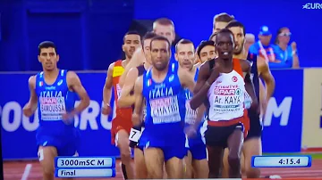 Cosa vuol dire 3000 siepi?