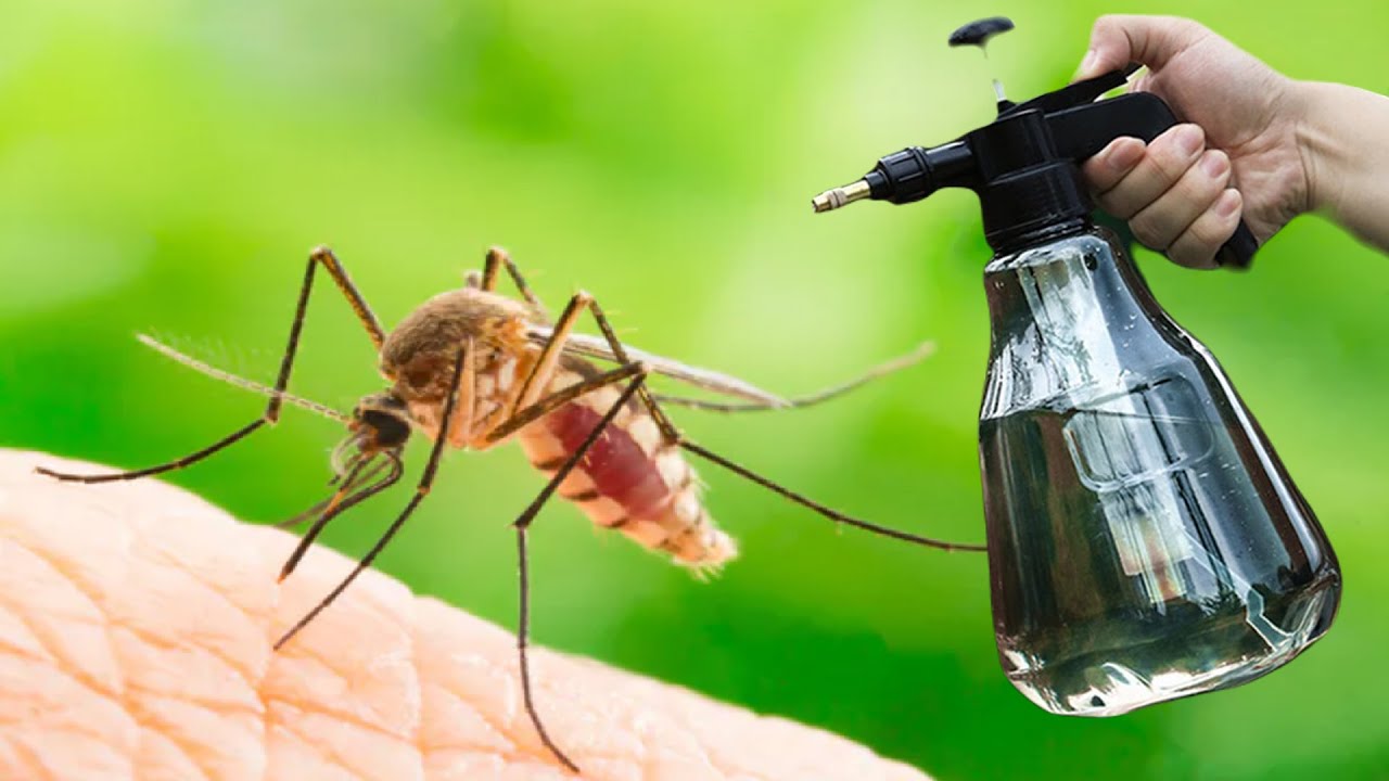 Mosquitoes will disappear in 2 minutes! The best organic insect