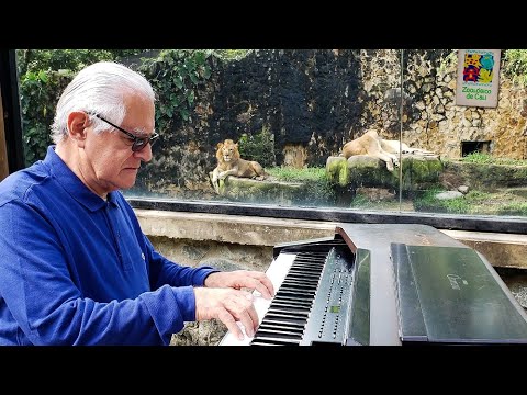 #CaraOculta: Un concierto para los animales del Zoológico de Cali