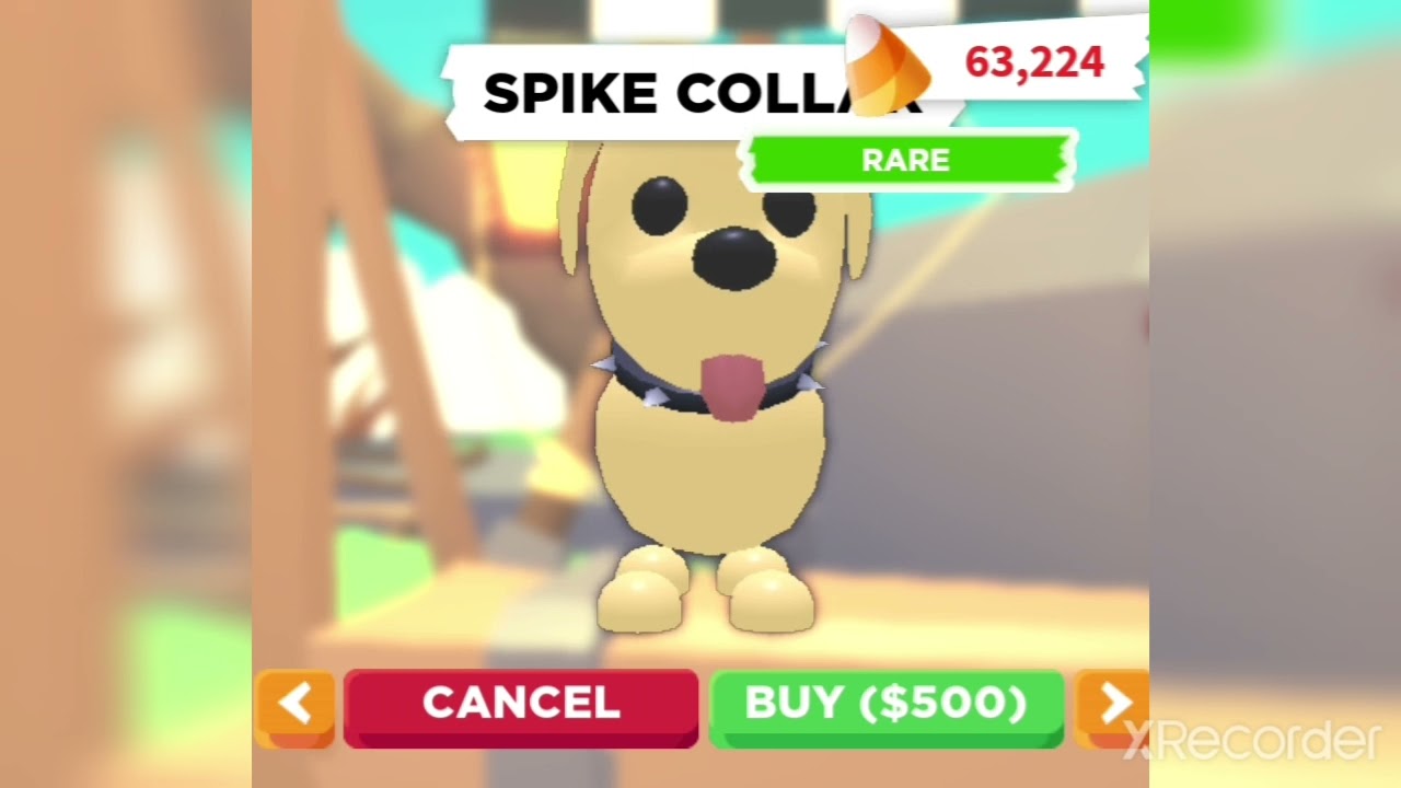 Pet Accessories Rotation #154 | Roblox Adopt me - YouTube