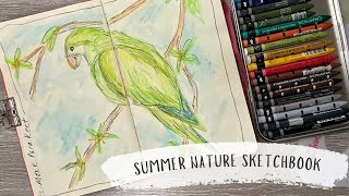 Neocolor 2 Summer Nature Journal Bird Tutorial | Relax and Create | Monk Parakeet 