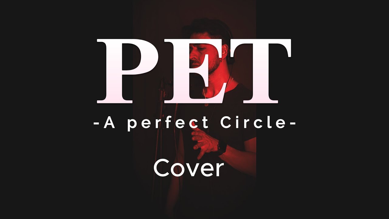 Pet A Perfect Circle Cover YouTube 