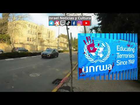 ONU, UNRWA Y OTROS MALES 🇵🇸