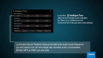 Intelligent Tune Tutorial Clarion FDS Z tune 10 FR