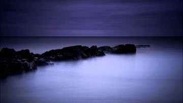 Hyena \ Whales Attacking The Suboceanic Interconnect