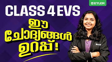 Class 4 EVS | ഈ ചോദ്യങ്ങൾ ഉറപ്പ് !!! | Xylem Class 4