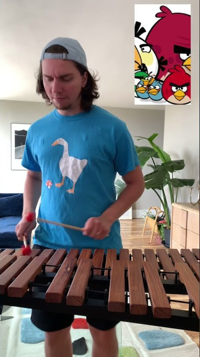 Angry Birds Theme Song on Xylophone