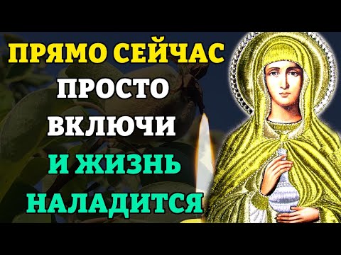 Прямо сейчас ВКЛЮЧИ