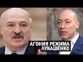 Ненависть к Лукашенко ЗАШКАЛИВАЕТ! Режим "Бацьки" дрожит - Гордон о ЖЕСТИ в Беларуси - новости