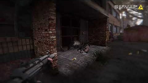 STALKER GAMMA - Bodycam Reshade and Reposition Test