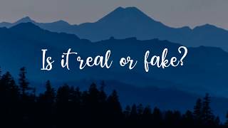 Chris Brown - Real or Fake (LYRICS)