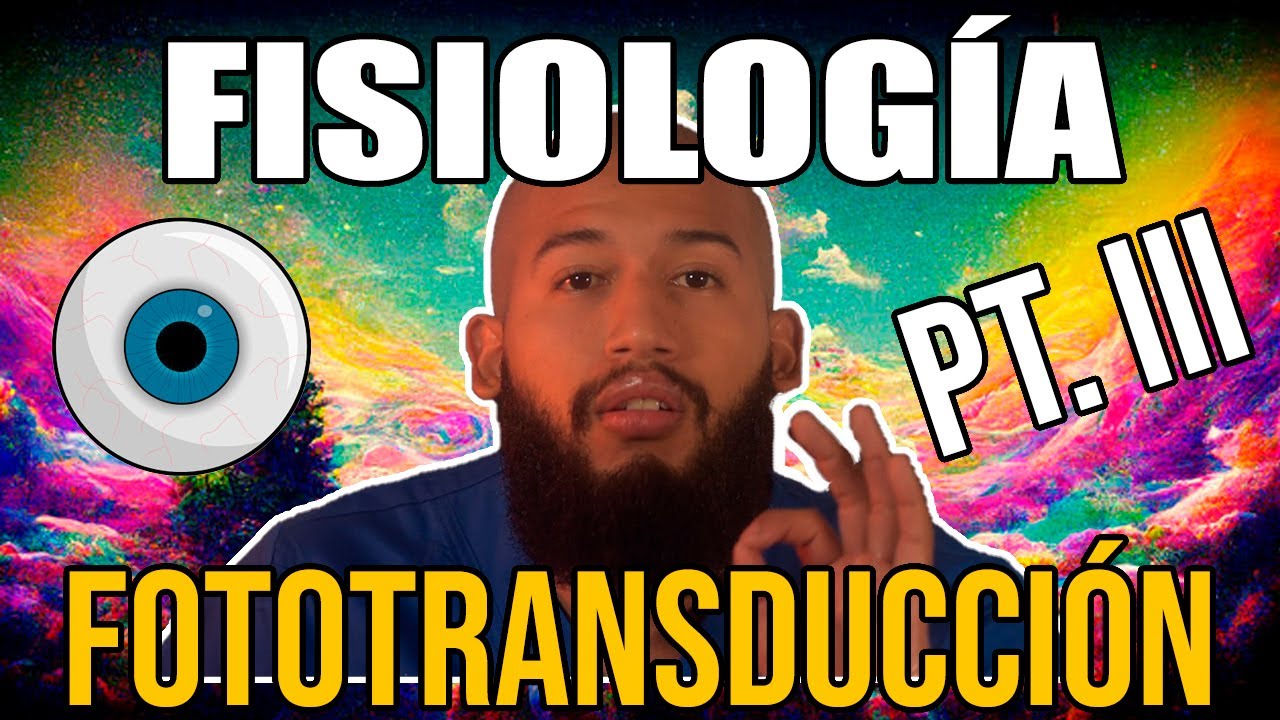 Fisiología de la VISIÓN Pt. III - FOTOTRANSDUCCIÓN (Conos, Bastones, Rodopsina, Vitamina A)